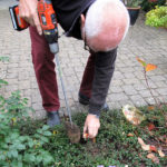 Anvendelse af plantebor