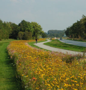 Classic Mix - Haderslev Kommune - september