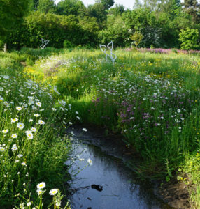 waters-edge-meadow